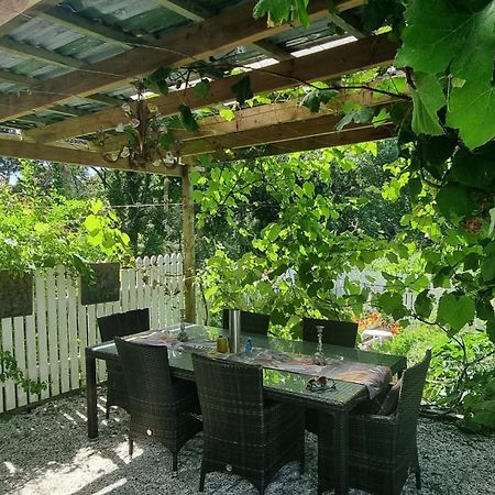 Pheasant Lodge Paparoa Zewnętrze zdjęcie