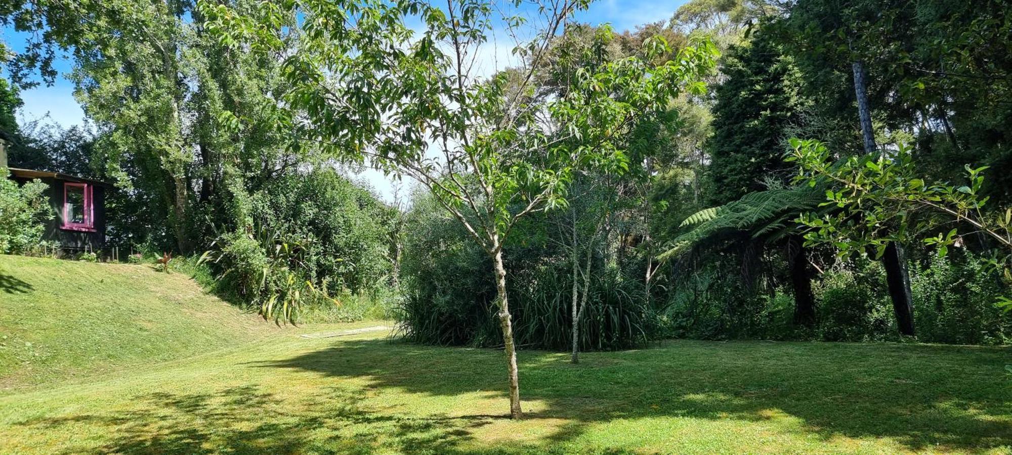 Pheasant Lodge Paparoa Zewnętrze zdjęcie